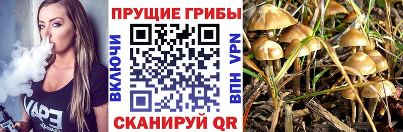 kraken онион  Майский  Галлюциногенные грибы мухоморы 